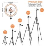 Professzionális prémium teleszkópos fotóállvány, telefonhoz/fényképezőgéphez, 360°-os forgatás, 5 magassági beállítás, Ring Light lámpával, 10 hüvelykes LED, USB csatlakozás, 3 fénymód, 10 fokozatú beállítás, telefon tartó állványhoz, alumínium, fekete - Image 11